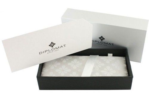 Перьевая ручка Diplomat Aero Black перо EF